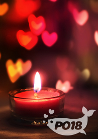 泰版流星花园女主